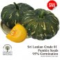 25+ Pumpkin Seeds Vegetable Sweet Green Pumpkins Vine 100% Organic Plant NO GMO