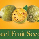 Aegle Marmelos Seeds, India Bael Fruit, Bilva Tree, Golden Apple, Bengal Quince