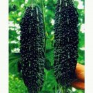 15Pcs Black Pear Bitter Seeds Vegetable Gourd Herb plant Grow Your Own Yard