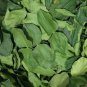Organic Kaffir Lime Leaves Dried 2 lb Thai Cooking Tea Fresh Ceylon Spice Herb