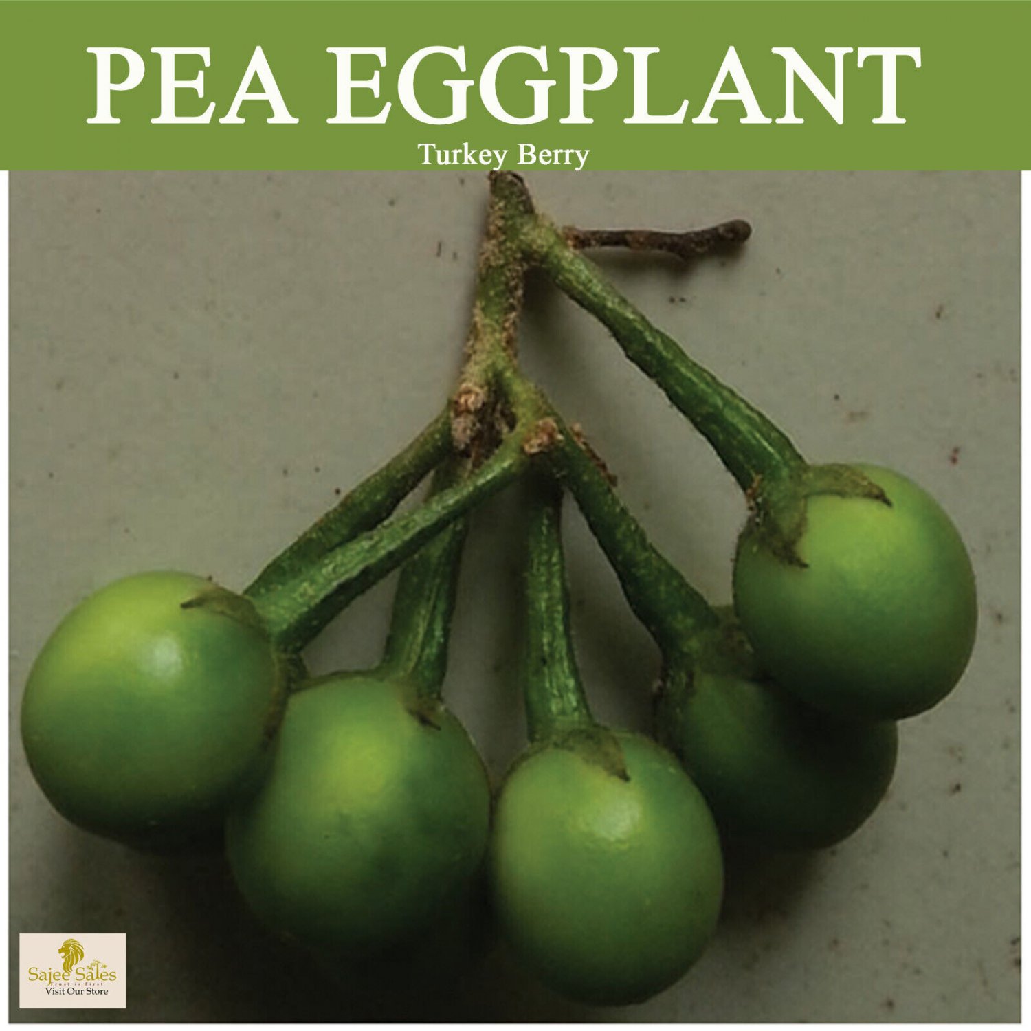 Pea Eggplant ThornlesS Olanum Torvum Turkey Berry Devil's Fig |  Vegetable Seeds