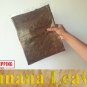 50 BIG Pieces Dried Banana Leaves Pet Supplies Care Fish Aquariums 100% BIO Leaf