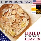 1.5 Kg Dried Jack fruit Leaves Biofilm Shrimp Betta fish Aquarium 1-10 US CANADA