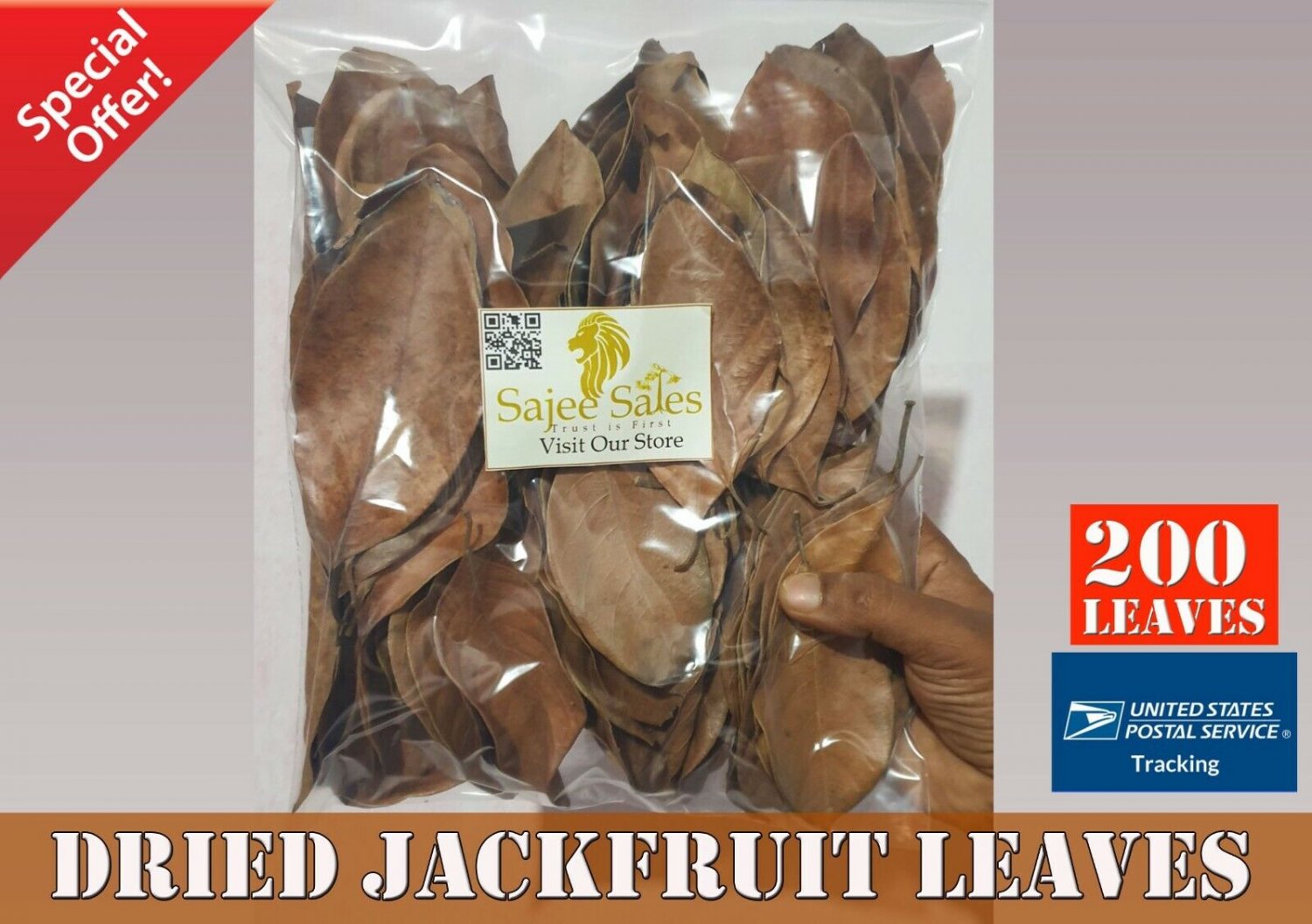200+ Dried Jack Fruit Leaves Jackfruit Leaf Bio film Shrimp Aquarium Betta Fish