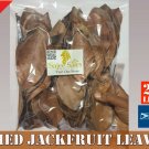 200+ Dried Jack Fruit Leaves Jackfruit Leaf Bio film Shrimp Aquarium Betta Fish 200+ Dried Jack Fruit Leaves Jackfruit Leaf Bio film Shrimp Aquarium Betta Fish