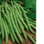 Fresh Green Bean Seeds | Non-GMO Garden Beans Vegetable Seeds from Sri Lanka