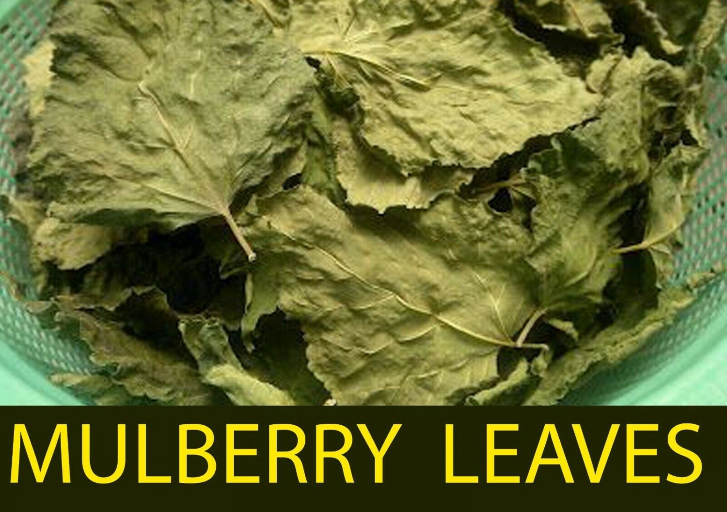 500pc Dried Mulberry Leaves Fish Shrimps Silk Worm Organic Food Aquarium -Fast
