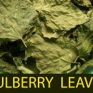 500pc Dried Mulberry Leaves Fish Shrimps Silk Worm Organic Food Aquarium -Fast