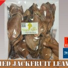 120 Dried Jack Leaves Jackfruit Leaf Bio film Shrimp Aquarium Betta Fish Hide