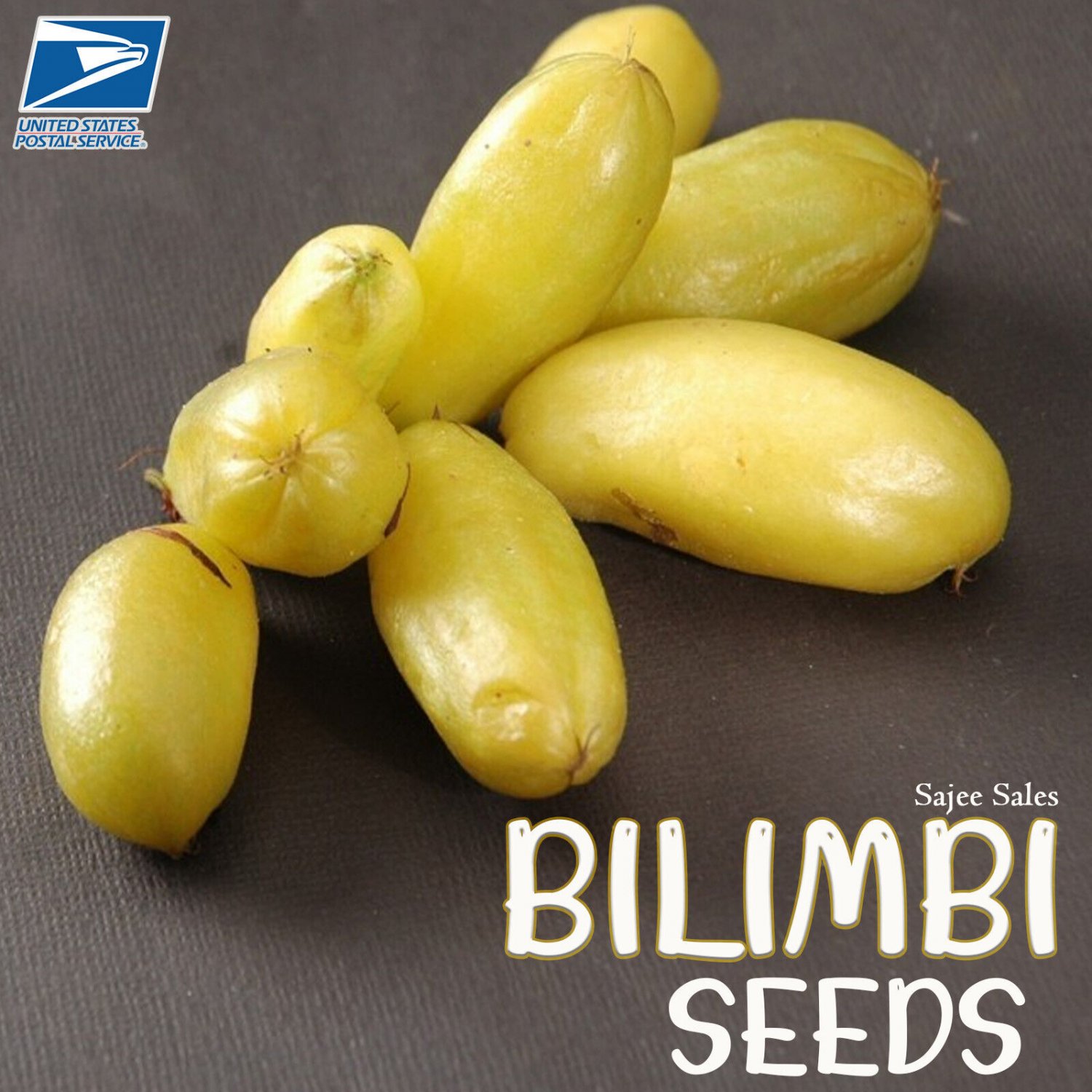 30 Seeds Bilimbi Cucumber Pickle Tree MIMBRO KAMIAS 3 to 10 Days