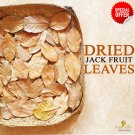 150+ Dried Jack Leaves Jackfruit Leaves Biofilm Shrimp Aquarium Betta Fish Hide
