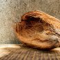 Coconut Husk Full 1 kg  Growing Media Planting Pot Orchid Fish Aquarium Whole