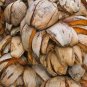 Coconut Husk Full 1 kg  Growing Media Planting Pot Orchid Fish Aquarium Whole
