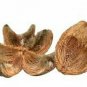 Coconut Husk Full 1 kg  Growing Media Planting Pot Orchid Fish Aquarium Whole