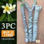 01Pc Plumeria Frangipani Plant Cuttings 6-11â Unrooted Yellow & White Temple Tree