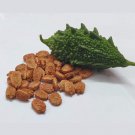 50 Bitter Gourd Seeds Vegetable Bitter Melon Luffa Chinese Carilla fruit Plant