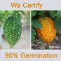 50 Bitter Gourd Seeds Vegetable Bitter Melon Luffa Chinese Carilla fruit Plant