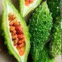 50 Bitter Gourd Seeds Vegetable Bitter Melon Luffa Chinese Carilla fruit Plant