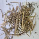 Dry Whole Plant Cleome gynandra Wild Spider Flower Very Powerful Heral Plant