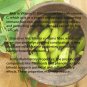 Averrhoa Bilimbi Seeds Cucumber Tropical Rare Fruit Pickle Tree Sorrel 20 Seeds
