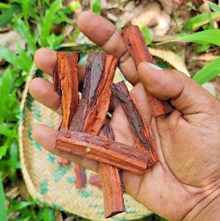Premium Red Sandalwood Chips Santalum album Powder  Bark Pterocarpus santalinus