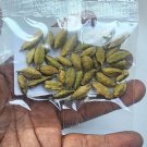 SALE -Green Cardamom Pods Best Sri lanka Spice Hari Elachi Homemade Cardamom Tea