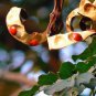 Dried Adenanthera pavonina Bark Red Lucky Seed Sandalwood Leaves saga Plant