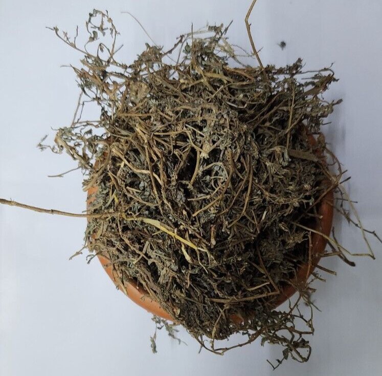 Dried Land Calthrop Tribulus terrestris Whole Plant  Burnut Devil's Thorn