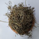 Dried Land Calthrop Tribulus terrestris Whole Plant  Burnut Devil's Thorn