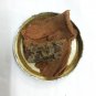 Mimusops Elengi Tree Bark Fragrant Spanish Cherry, India Medlar Bakul Bulltwood