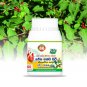 Natural Rauvolfia Serpentina Sarpagandha Vatee Snakeroot for High Blood Pressure