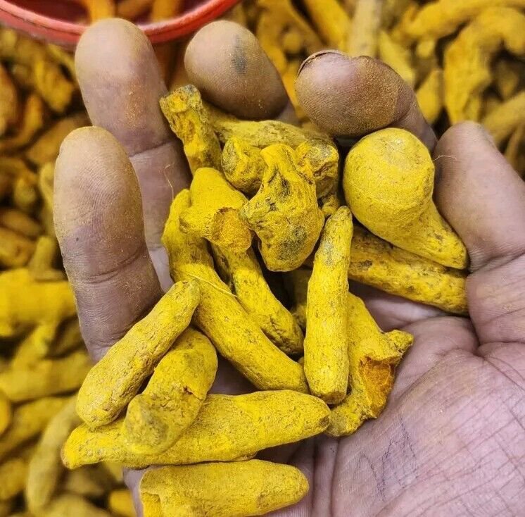 Peeled Turmeric Root Cuts (Dried) Homemade  Curcuma Longa Spice Tumeric C&Atilde;&ordm;rcuma
