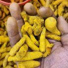 Peeled Turmeric Root Cuts (Dried) Homemade  Curcuma Longa Spice Tumeric Cúrcuma