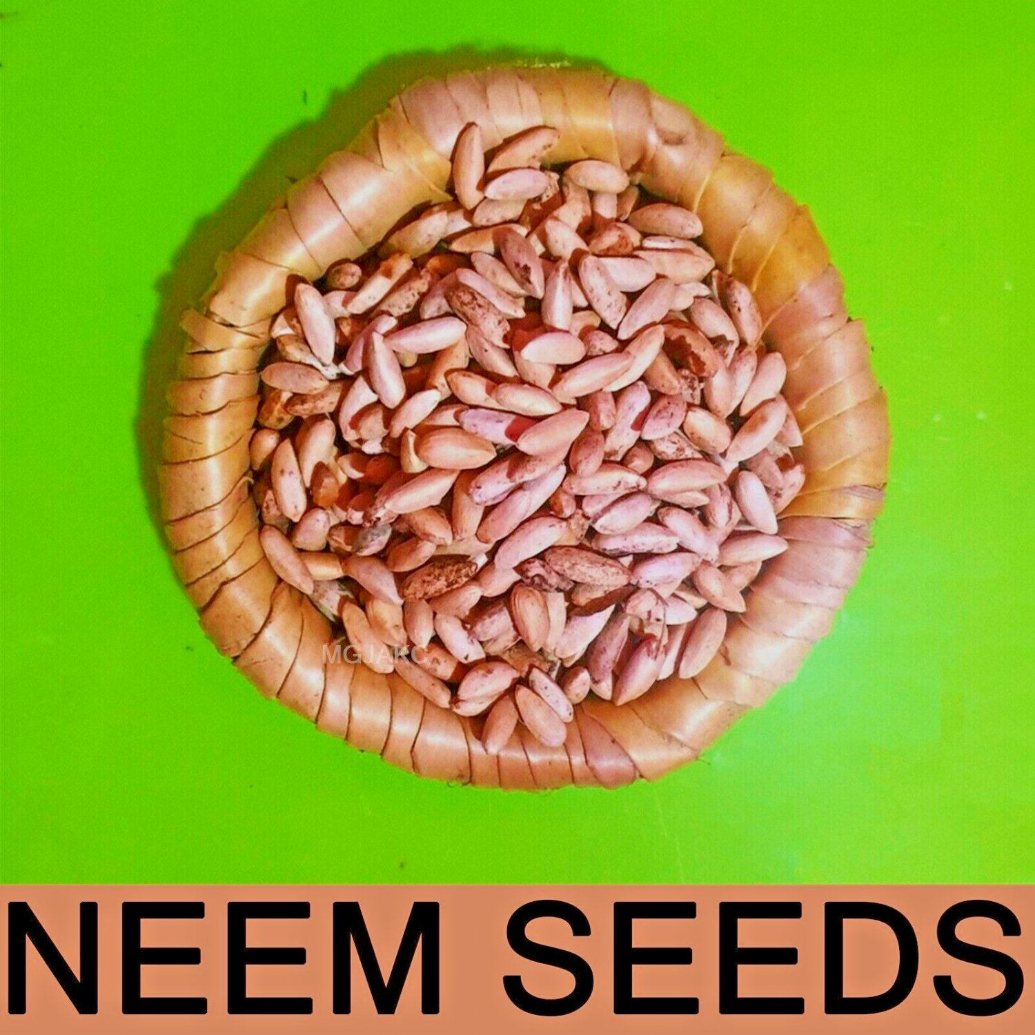 Dried Neem Seeds AZADIRACHTA INDICA Seeds Lilac Margosa Nimtree 50g 1.7 Oz