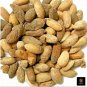 Dried Neem Seeds AZADIRACHTA INDICA Seeds Lilac Margosa Nimtree 50g 1.7 Oz