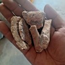 Rare Herbs Dried Crateva adansonii Garlic Pear Caper Bark Varun Chaal Caper Tree