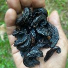 NO #1 Quality Home Made Ceylon Garcinia cambogia Fast Weight Loss Fat Burn Herbs
