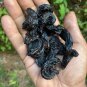 NO #1 Quality Home Made Ceylon Garcinia cambogia Fast Weight Loss Fat Burn Herbs