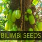 Averrhoa Bilimbi 40+Seeds Cucumber Tropical Rare Fruit Pickle Tree Sorrel Seeds