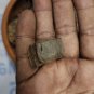 Pterocarpus marsupium Dried Leaves & Bark  Indian Kino Tree Vijaysar Blood Sugar