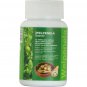 Balloon Vine  60 Capsules 500mg vege Caps Best Male Energy &  promote fertility
