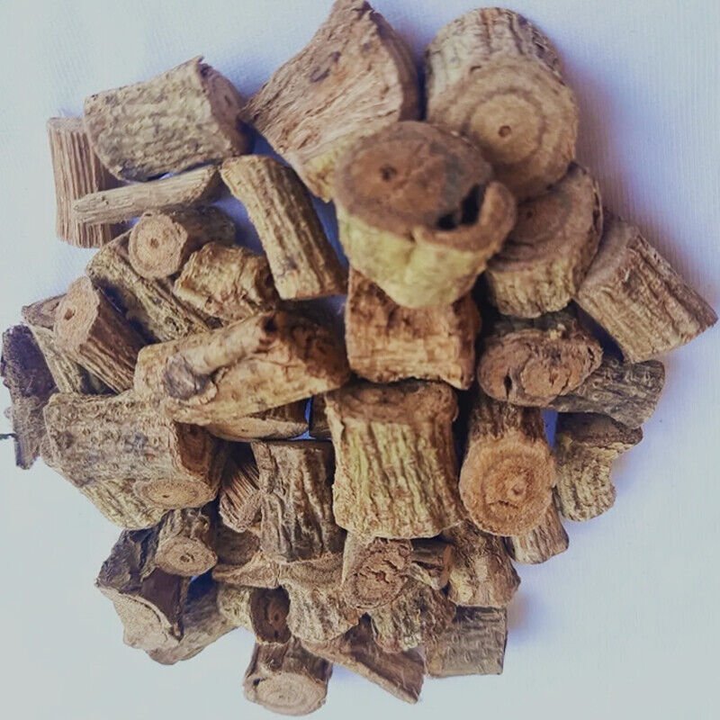 Rare Herbs Indian Stinging Nettle(Tragia Involucrata)Canchorie Root Plant 3.5oz
