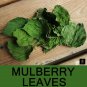 100+ Dried Mulberry Leaves Shrimp, Betta, Silkworm Snail Food for Fish Aquarium