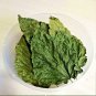 100+ Dried Mulberry Leaves Shrimp, Betta, Silkworm Snail Food for Fish Aquarium
