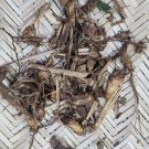 Dried Lesser Galangal, Snap Ginger(Alpinia calcarata) Siamese Ginger Rare Herb