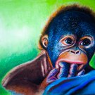 The Baby Orangutan Framed Art Print