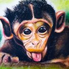 The Baby Monkey Framed aRT Print