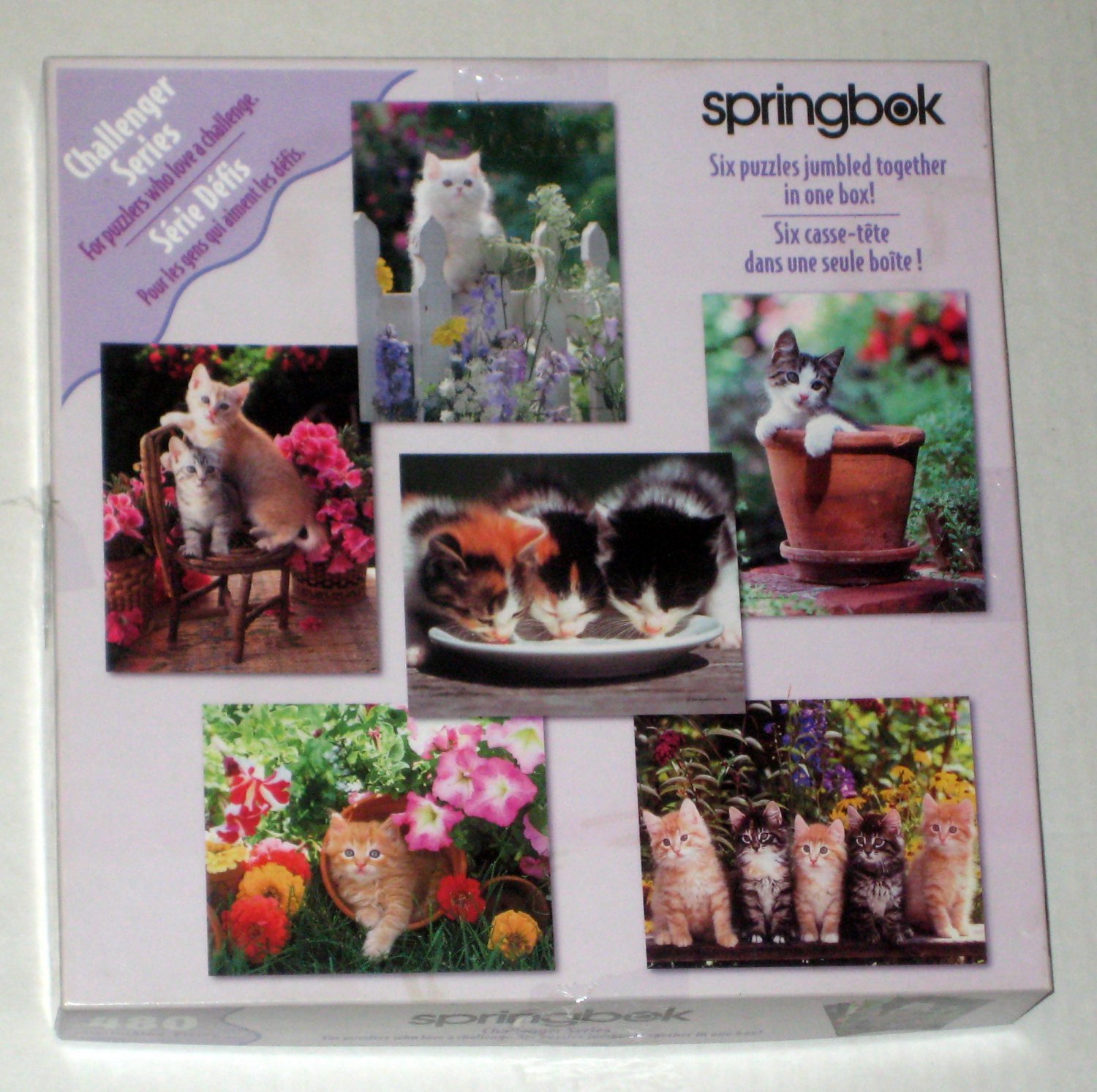 Cats Cats Cats 480 Piece Springbok Jigsaw Puzzle 6 in 1 PZL4061 Kittens COMPLETE