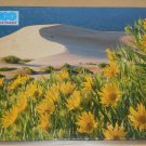 Sand Dunes 500 Piece Jigsaw Puzzle Western Publishing Co 4646L-49 Factory Sealed 1993
