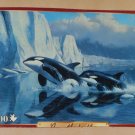 Glaciers Edge 1000 Piece Jigsaw Puzzle Sure-Lox Artist Collection Whales Persis Clayton Weirs